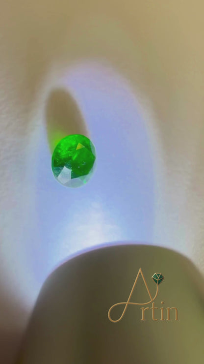 Natural Green Garnet – 0.50 ct Loose Gemstone