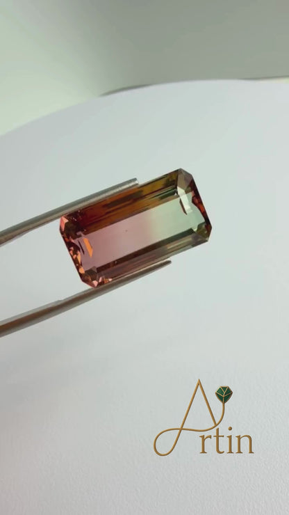 Natural Watermelon Tourmaline – 16.27 ct Loose Gemstone