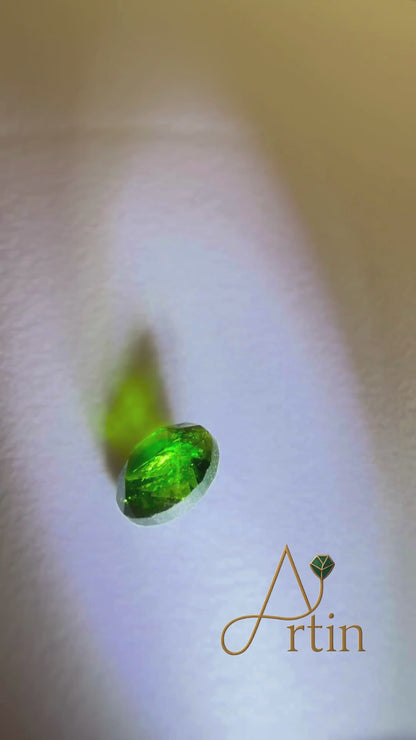 Natural Green Garnet – 0.61 ct Loose Gemstone